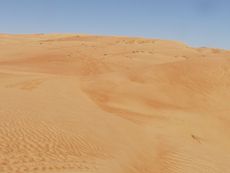 175 Wüste, Wahiba Sands.JPG